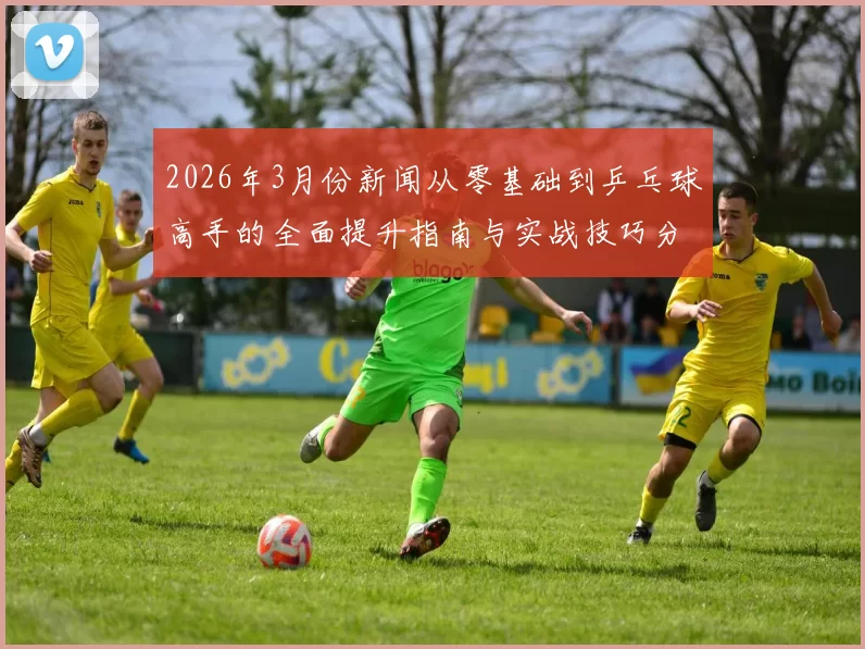 2026年3月份新闻从零基础到乒乓球高手的全面提升指南与实战技巧分享